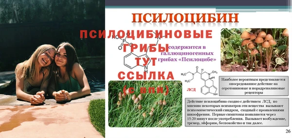 тгк Абаза