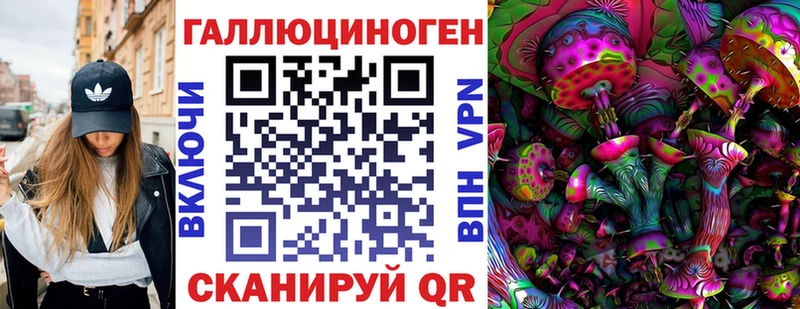 закладки Поворино Псилоцибиновые грибы Magic Shrooms